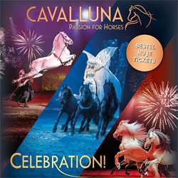 cavalluna