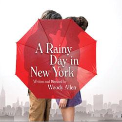 a rainy day in new york