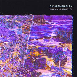 tv celebrity