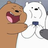 ice bear loves you