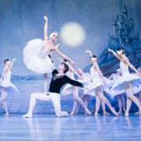 international festival ballet