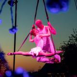 bloesemfestival