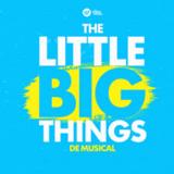 the little big things